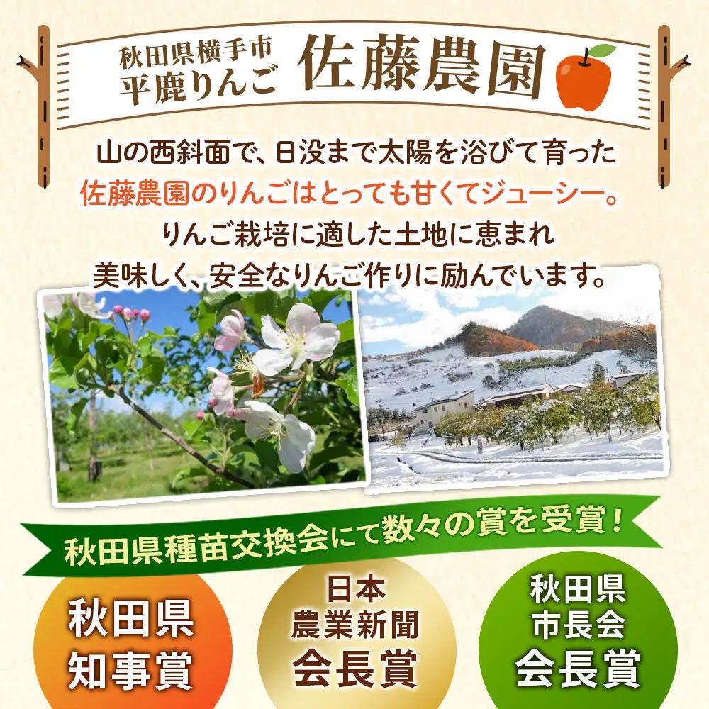 【先行受付】11月下旬より発送 完熟サンふじ秀品 約10kg（32～40個入）りんご