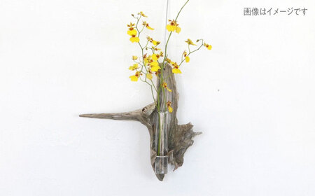 Driftwood FlowerBase 流木一輪挿し フラワーベース 糸島市 / WOOD'ARBRE(ウッドラヴル)【TIME】 インテリア 雑貨 一輪挿し [ADC003]