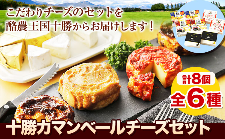 十勝チーズ カマンベールセット 本別町観光協会《60日以内に順次出荷(土日祝除く)》味噌漬カマンベール チーズ 黒豆味噌漬カマンベール キレイマメ 送料無料 北海道 本別町 詰め合わせ 食べ比べ