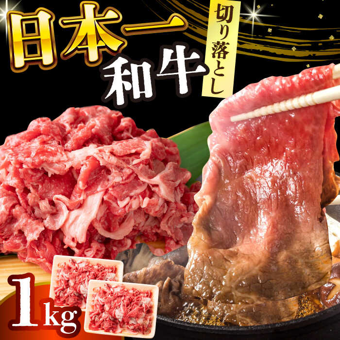 【ふるさと納税】【A4〜A5】長崎和牛 切り落とし 1kg(500g×2p）【株式会社 MEAT PLUS】[DBS006] きり落とし きりおとし 和牛 牛肉 国産 国産和牛 贅沢 小分け 約 1キロ 2パック 便利