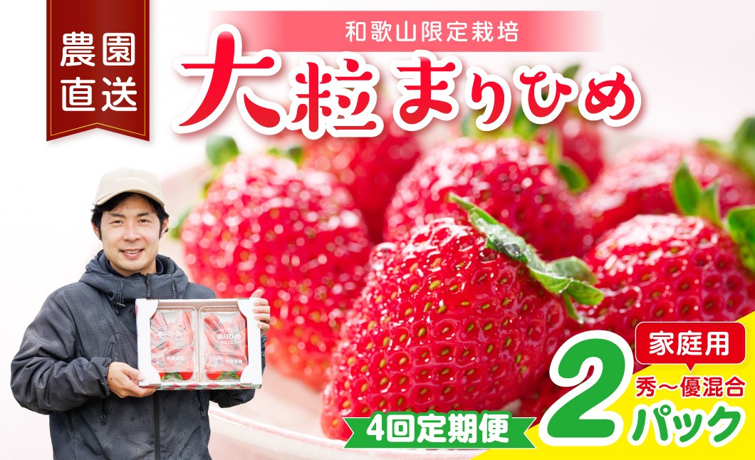 
                  【4回定期便】大粒の贅沢！毎月届く幸せ「まりひめ」を農家直送で【家庭用】2パック ＜固定月発送＞ 【配送不可地域：北海道・青森・秋田・岩手・沖縄・離島】
                