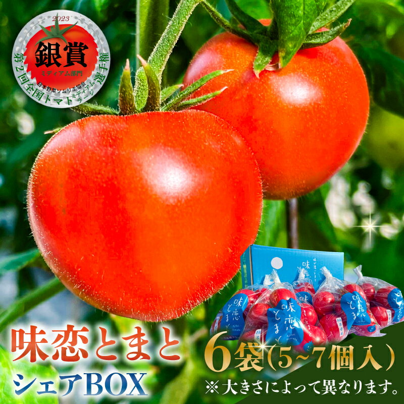 【ふるさと納税】 味恋とまとシェアBOX 栃木県 那須塩原市 トマト 野菜 味恋トマト 酸味 フルーツトマト シェア BOX 詰合せ 小袋 冷製カッペリーニ 国産 お取り寄せ 送料無料