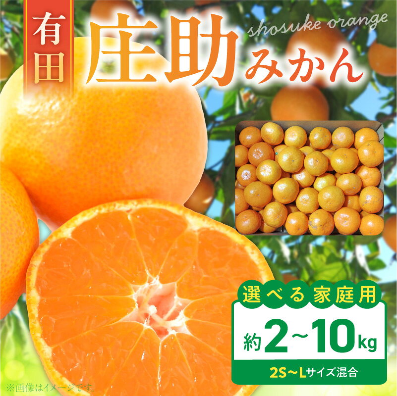 【ふるさと納税】【2026年先行予約】 庄助みかん ご家庭用 選べる 容量 約 2kg 〜 10kg サイズ 混合 2S S M L 産地直送 薄皮 甘い 濃厚 ジューシー 温州みかん 有田みかん 小玉 フルーツ 果実 果物 柑橘 国産 お取り寄せ 和歌山県 湯浅町 送料無料