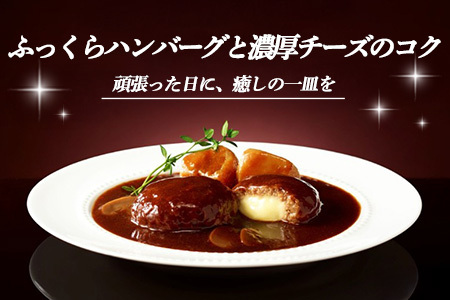 レンジでごちそう シチュー・ド・ハンバーグ×4袋 K021077