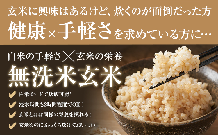熊本県産 肥後米 無洗米 玄米 30kg 1袋5kg 米 お米 令和6年産 九州産 熊本県産 ブレンド米 送料無料《30日以内に出荷予定（土日祝除く）》玄米 無洗米 米---026-3016---