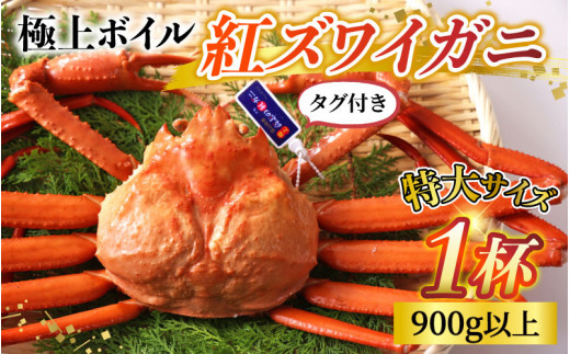 【順次配送中】タグ付き極上ボイル紅ズワイガニ 冷蔵配送 川村水産※発送前に在宅確認の電話連絡をいたします！【25年度9月下旬以降順次配送】【紅ズワイガニ カニ ズワイガニ 紅ずわいがに かに 紅ズワイガニ カニ ズワイガニ 紅ずわいがに かに 紅ズワイガニ カニ ズワイガニ 紅ずわいがに かに 紅ズワイガニ カニ ズワイガニ 紅ずわいがに 冷蔵 チルド 北陸 滑川 ブランド蟹】