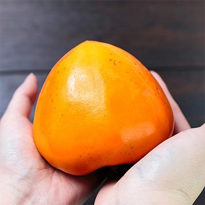 ふるさと納税 八幡浜市 《八幡浜特産 国内最大級の 柿》 富士柿 5kg 種無し【C20-21】 |  | 02