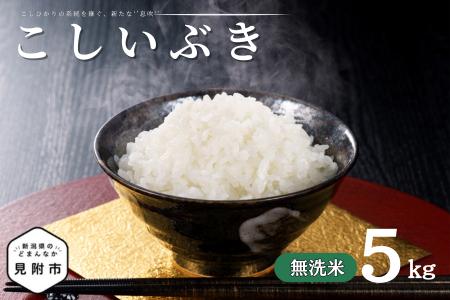 令和7年産 新潟県産 こしいぶき 5kg 無洗米 新米 お米 白米 コシヒカリ こしひかり おすすめ 人気 こめ コメ 新潟 見附 見附市 7年 2025年産 ふるさと納税 諸長