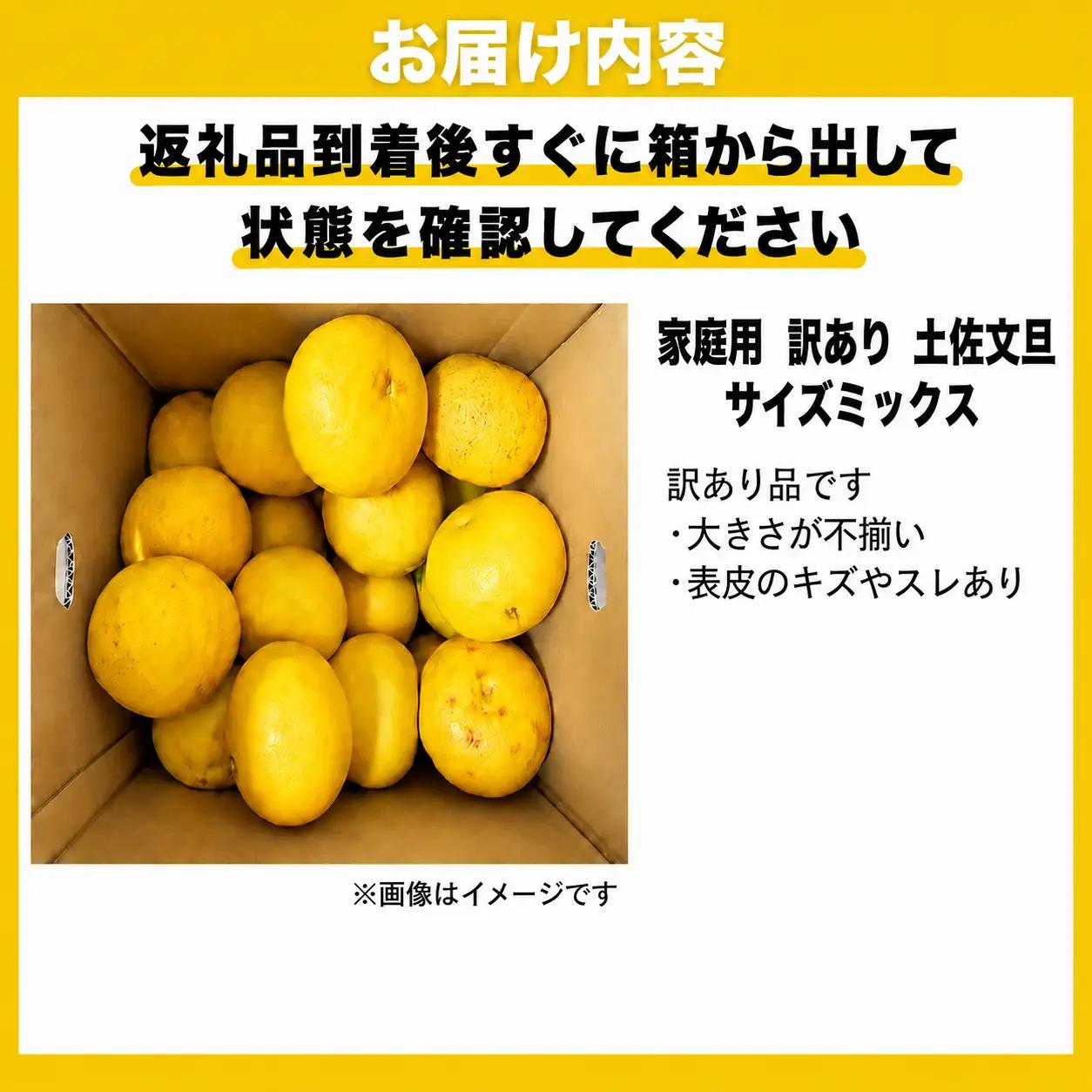 【先行予約】　土佐 文旦 5kg 訳あり 文旦 愛なんよ