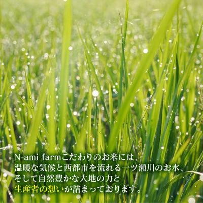 ふるさと納税 西都市 【令和7年産新米・先行受付】ひのひかり 5kg　※10月中旬以降順次発送予定　精米済み [2592] |  | 03
