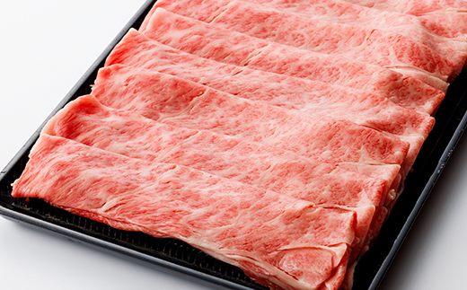 【毎月定期便】家計応援【飛騨牛】ロース・肩ロース スライス1kg(すき焼き/しゃぶしゃぶ)全3回【配送不可地域：離島】