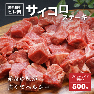 黒毛和牛高級部位　ヒレ肉　ブロックサイド不揃　サイコロステーキ　500ｇ K20_0014_2