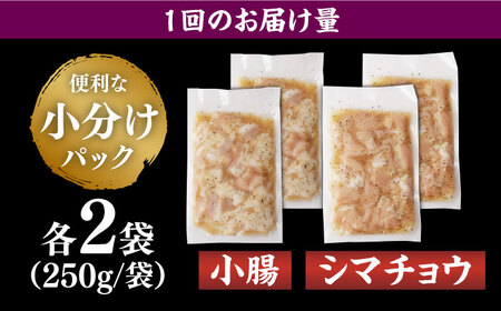 【全6回定期便】【塩だれ味】 九州産和牛 ホルモン 2種 計1kg（ シマチョウ 250g×2袋・ 小腸 250g×2袋） 長与町/岩永ホルモン[EAX148] / ホルモン 小腸 ホルモン シマチョ