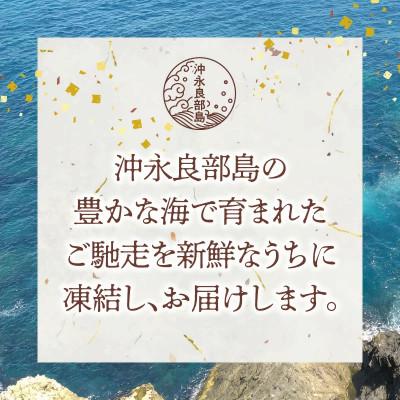 ふるさと納税 知名町 沖永良部島 イカの王様!ソデイカ 3kg |  | 03