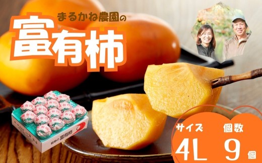 【令和8年産／2026年11月上旬～発送予定】富有柿 贈答用 4Lサイズ  9個入り  先行予約 ｜まるかね農園