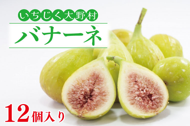 
                  【先行予約】　【7月～10月頃発送予定】　いちじく バナーネ 12個入 フルーツ 白いちじく 冷蔵 果物 くだもの デザート 旬 贈答用 ギフト プレゼント おやつ 新鮮 ご褒美 国産 ジャム サラダ 美味しい 産地直送 期間限定 数量限定 お取り寄せ ふるさと納税いちじく ふるさと納税果物 ふるさと納税フルーツ 人気 茨城県 鹿嶋市
                