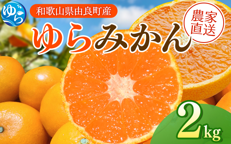 ゆらみかん 2kg / 温州みかん 和歌山県 柑橘 みかん 甘い 蜜柑 フルーツ 果物 くだもの 食品 人気   おすすめ 送料無料 産地直送 由良町 ※2026年11月下旬頃から12月上旬頃に順次発送予定【kzmn004-r-2】