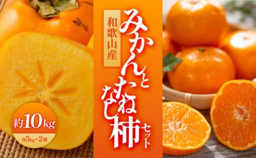 和歌山産 みかんとたねなし柿セット 10kg(各5kg×2)【ヤマタ大谷商店】