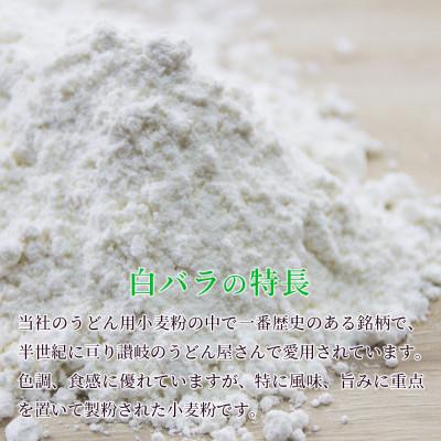 ふるさと納税 坂出市 [うどん用 小麦粉 中力粉] 白バラ 12kg |  | 01