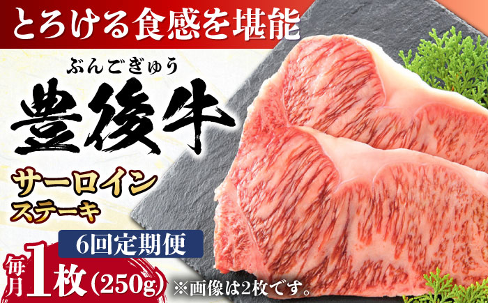 
            【全6回定期便】おおいた豊後牛 サーロインステーキ 250g (250g×1枚) 日田市 / 株式会社MEAT PLUS 牛肉 おおいた豊後牛 おおいた 豊後牛 黒毛和牛 サーロイン サーロインステーキ ステーキ 国産 和牛 [AREI054]
          