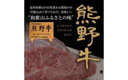 熊野牛 生ハンバーグ 8個入り