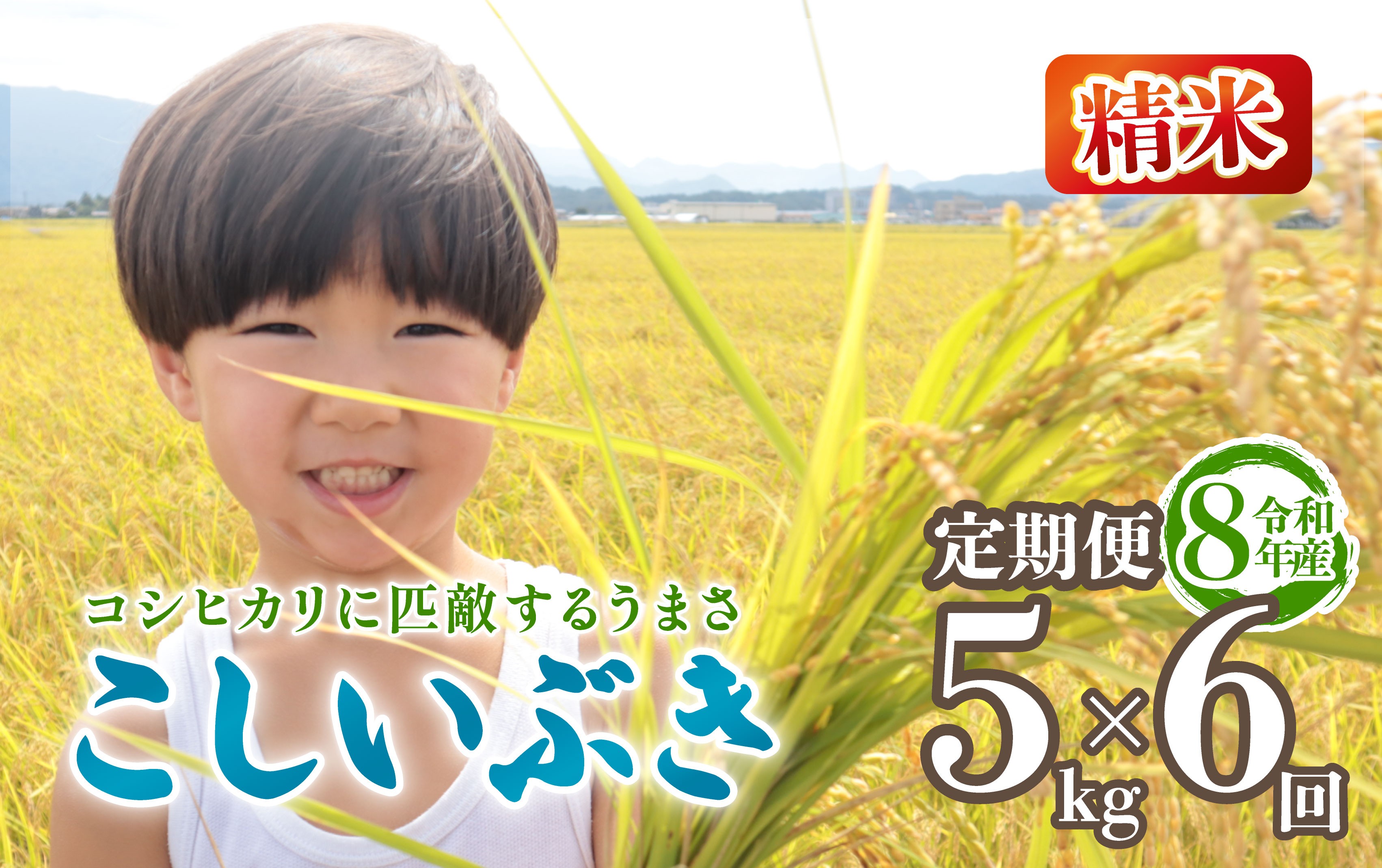 
                  令和8年産 こしいぶき 定期便 5kg 6回 30kg 新潟 6か月 先行予約 新米 越後の新しい息吹 コシヒカリ の遺伝子を引き継ぐ 米 おこめ お米 ご飯 ごはん オニギリ お弁当 kome 送料無料 数量限定 農家直送 産地直送 国産 川瀬農園 四代目 悠助 新潟 新発田 kwsKI004_202609
                