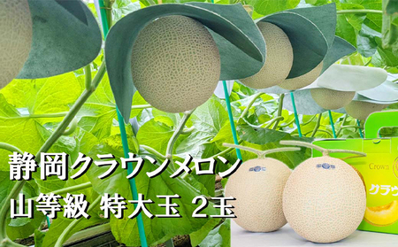 クラウンメロン 山等級 マスクメロン 青肉 クラウンメロン【特大玉 1.5kg前後 2玉】
