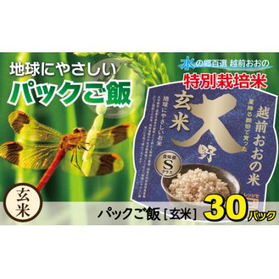 ふるさと納税 大野市 地球にやさしいパックご飯 30食入り【玄米】　減農薬・減化学肥料 「特別栽培米」-地球にやさしいお米