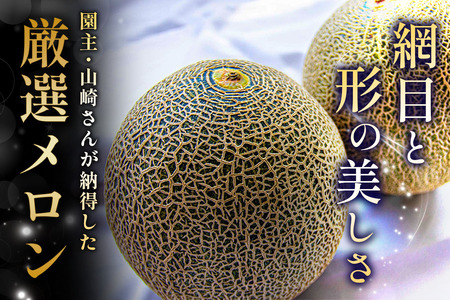 【先行予約】高級 メロン『浮世離れ』1玉【2026年7月下旬から8月上旬まで順次発送】一度は食べてみたい！市場に出回らない｜舐瓜 [0893]