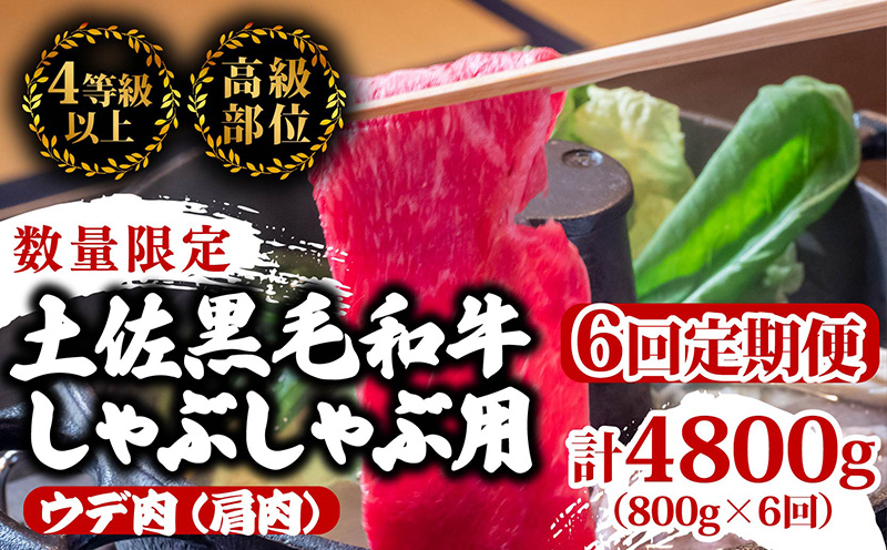 【定期6回】土佐黒毛和牛ウデ肉しゃぶしゃぶ用 計4.8kg【800g×6ヶ月連続お届け】 3Aコース