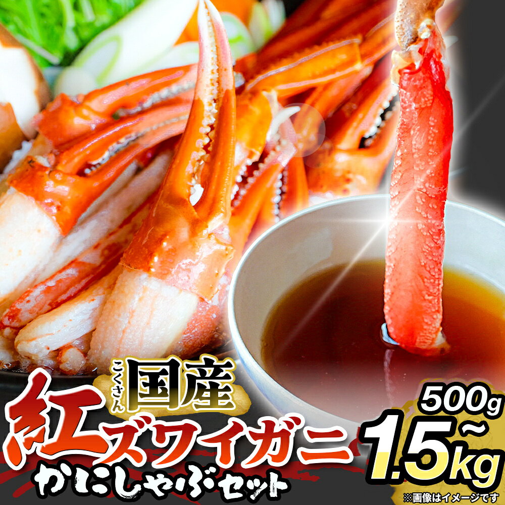 【ふるさと納税】【先行予約】かに しゃぶしゃぶ 紅ズワイガニ 選べる 内容量 500g - 1.5kg 国産 カニしゃぶ 鍋セット 冷凍 ポーション ギフト 年末年始 魚介 富山県 氷見市