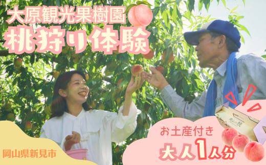 大原観光果樹園 桃狩り体験チケット 大人1人（桃お土産付き）