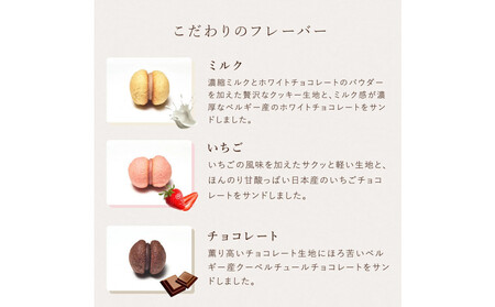 ＜シーキューブ＞サクッチ・ホロッチ　12個入　CSC-12RC