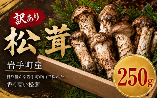 【先行予約】 天然松茸 訳あり 先行予約 選べる容量 250g 国産 国産松茸 岩手県産 岩手町産 訳あり松茸 松茸 まつたけ マツタケ 天然まつたけ 秋の味覚 2026年発送 家庭用 自宅用 松茸ご飯 焼き松茸 土瓶蒸し 冷蔵 秋の味覚 希少 ギフト 贈り物