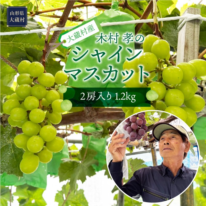 大蔵村産　シャインマスカット　2房入り　1.2kg