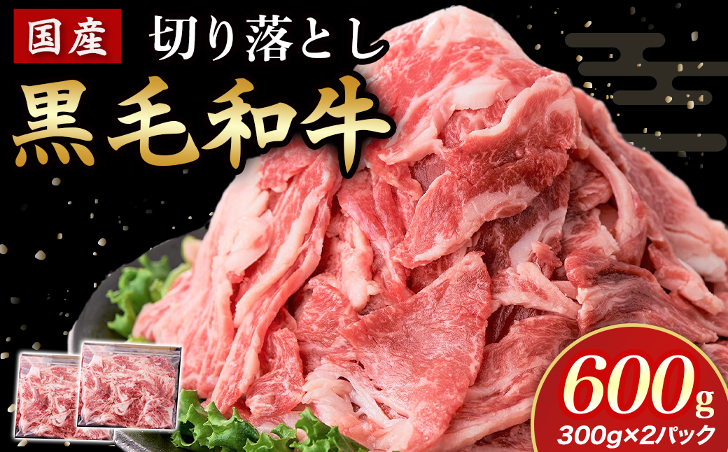【E208】国産黒毛和牛切り落とし 600g （ 国産 牛 牛肉 黒毛和牛 切り落とし 真空 小分け 冷凍 宮崎県 小林市 ）