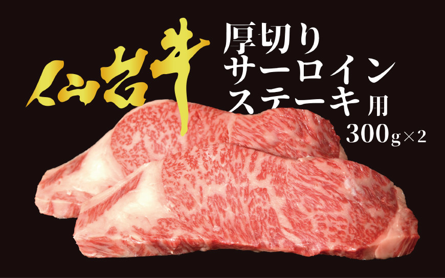 
            【仙台牛 A-5ランク】厚切り サーロインステーキ用 300g×2枚 [気仙沼市物産振興協会 宮城県 気仙沼市 20565226] 肉 精肉 ブランド牛 サーロイン サーロインステーキ ステーキ A5 A5ランク 冷凍
          