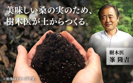 峯樹木園 桑の実ジュース 500ml×2本セット【一般社団法人クラッシーノこうし】[AYAB019]