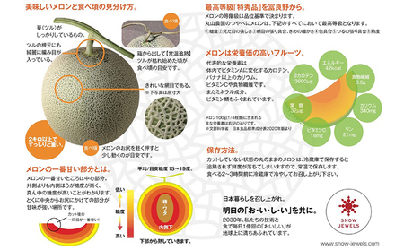 【2026年6～8月発送】 先行受付 北海道 富良野産 赤肉 つやべに メロン 4～5玉 箱 8kg以上 (ふらの 丸山農園) メロン フルーツ 果物 新鮮 甘い 贈り物 ギフト 道産 ジューシー お