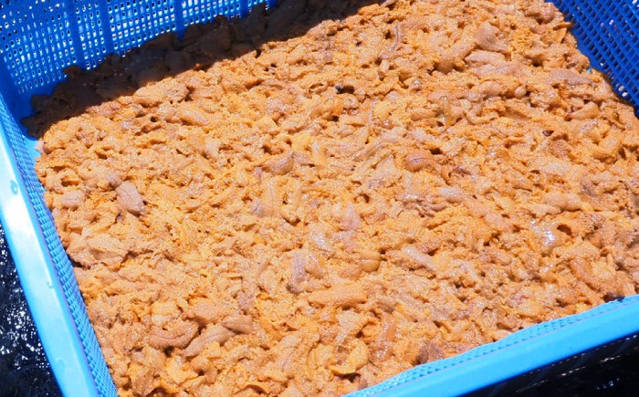 人気   うに ウニ 雲丹  新鮮 海鮮 特産品 贈り物 ギフト   魚介
