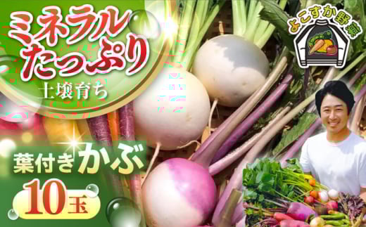 【先行予約】【数量限定】葉付き　かぶ 10玉（9月〜6月） 野菜  やさい 【鈴也ファーム】 [AKCE016]
