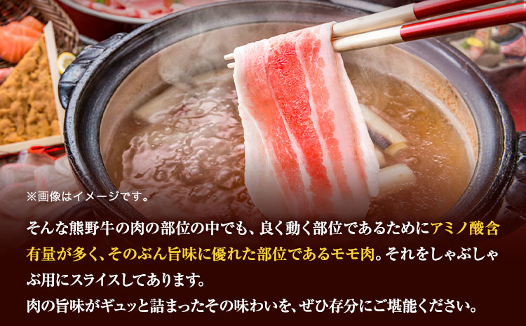 【和歌山県のブランド牛】熊野牛モモしゃぶしゃぶ用500g厳選館《90日以内に出荷予定(土日祝除く)》牛うしモモしゃぶしゃぶ---wshg_fgenkmsyb_90d_22_25000_500g---