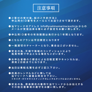 【平日限定 特別プラン】貸切 カツオ ・ キハダ キャスティングプラン 鰹 キハダマグロ シイラ 海 釣り 真剣勝負 フィッシング チャーター 高知 須崎市 YMR003