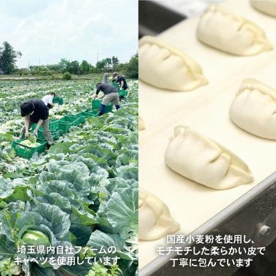 ふるさと納税 坂戸市 業務用冷凍生餃子3袋(180個)　ぎょうざの満洲 |  | 02
