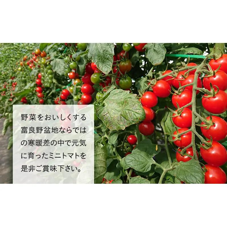 【2026年7月より発送】北海道 富良野市産 完熟ミニトマト（キャロル10）約1kg トマト 甘い 野菜 新鮮 数量限定 先着順 【藏ファーム】