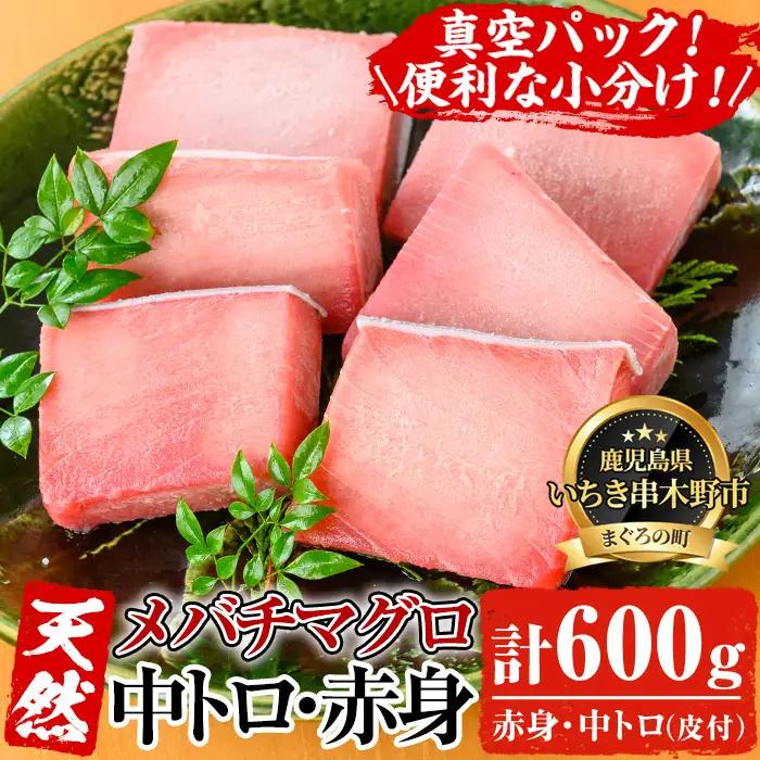 旬の天然メバチまぐろ 中トロ・赤身厳選セット 約600g