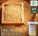 【ふるさと納税】合鴨農法　彩のかがやき玄米　2kg