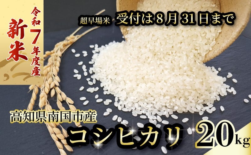 
            【新米】 【8月31日まで】 令和7年度 コシヒカリ 20㎏ 5㎏×4 発送スタート  超早場米 米 コメ お米 精米 早場米 新米 ご飯 おにぎり こめ 白米 高知県 南国市
          