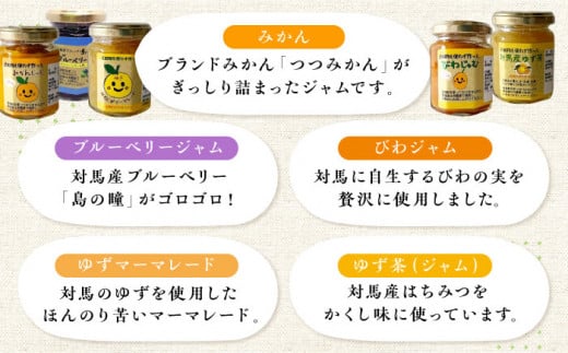 対馬のフルーツジャム 6本(3種類以上)セット《対馬市》【対馬コノソレ】フルーツ 果肉 詰め合わせ ジューシー 朝食 食べ比べ 島の瞳 ゆず ジャム ソース [WAM019]