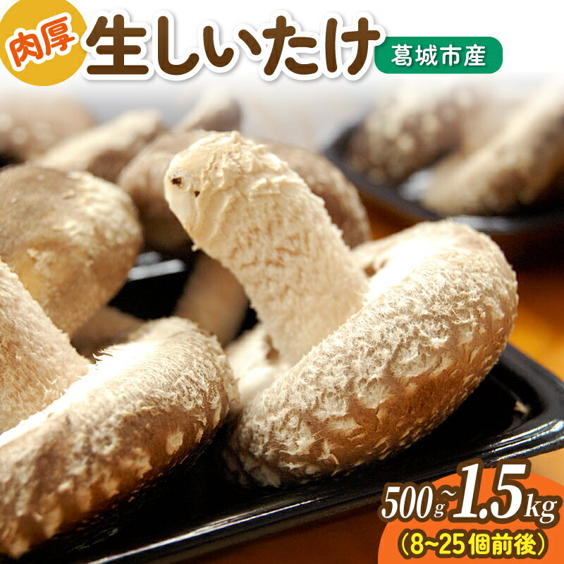 【ふるさと納税】 冷蔵 葛城市産 生しいたけ（500g、1kg、1.5kg）/ 椎茸 シイタケ きのこ キノコ 生 国産 セット 新鮮 菌床 スライス 奈良県 葛城市